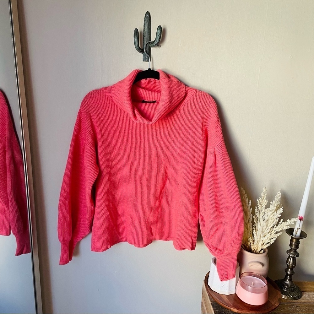 Vici Coral Cowl Neck Balloon Sleeve Sweater